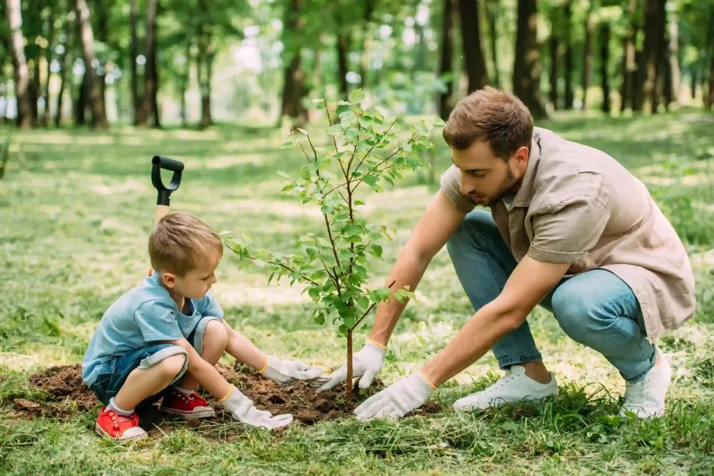 Enhancing Musical Spaces With Expert Tree Planting Techniques